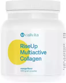 RiseUp Multiactive Collagen 500 g Multiaktywny kolagen owoc dzikiej róży i kwas hialuronowy na stawy Zdrowie i uroda Zdrowie Witaminy minerały suplementy diety