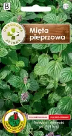 PNOS Zioła Mięta pieprzowa 02 g Dom i ogród Ogród Kwiaty i nasionacebulki