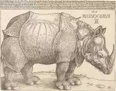 Reprodukcja The Rhinoceros Albrecht Durer Dom i ogród Wyposażenie wnętrz Dekoracja Obrazy i plakaty
