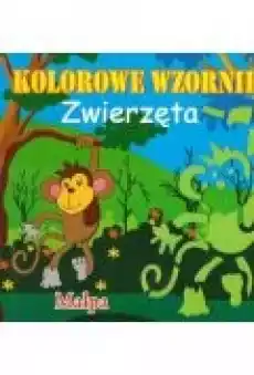 Książeczka kolorowe wzorniki MIX Książki Dla dzieci