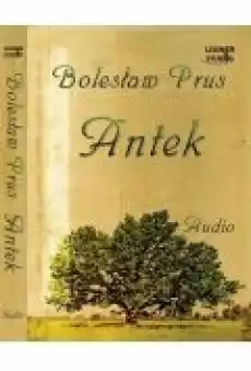 Antek audiobook Książki Audiobooki Dla dzieci i Młodzieży