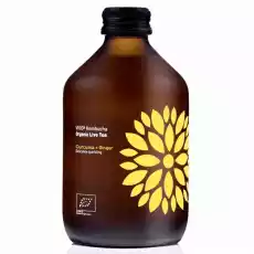 Kombucha Kurkuma Imbir BIO Organiczna Herbata Fermentowana i Żywa 330 ml Vigo Artykuły Spożywcze