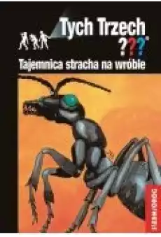 Tajemnica stracha na wróble Książki Dla młodzieży