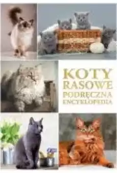 Koty rasowe Podręczna encyklopedia Książki Poradniki