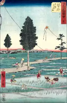 Fukuroi Famous Tôtômi Kites Hiroshige Ando plakat Wymiar do wyboru 20x30 cm Dom i ogród Wyposażenie wnętrz Dekoracja Obrazy i plakaty