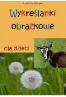 Wykreślanki obrazkowe dla dzieci Książki Ebooki