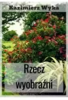 Rzecz wyobraźni Książki Ebooki