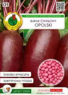 PNOS Burak Ćwikłowy Opolski 100 nasion otoczkowanych Dom i ogród Ogród Kwiaty i nasionacebulki