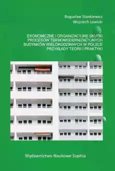 Ekonomiczne i organizacyjne skutki procesów Książki Biznes i Ekonomia