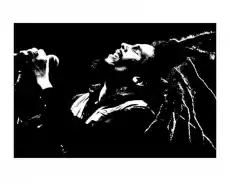 Bob Marley BW reprodukcja Dom i ogród Wyposażenie wnętrz Dekoracja Obrazy i plakaty