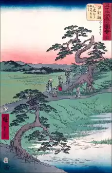 Chiryû The Former Site of the Irises at Eightbridge Village Hiroshige Ando plakat Wymiar do wyboru 20x30 cm Dom i ogród Wyposażenie wnętrz Dekoracja Obrazy i plakaty