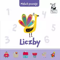 Maluch poznaje liczby Książki Dla dzieci