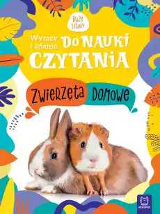 Zwierzęta domowe Wyrazy i zdania do nauki czytania Duże litery Książki