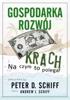 Gospodarka rozwój krach Na czym to polega Książki Biznes i Ekonomia