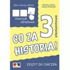 Dać rzeczy słowo Co za historia Ćwiczenia do historyjek 3elementowych Książki Nauki humanistyczne