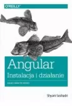 Angular instalacja i działanie Książki Ebooki