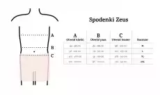 Zeus Spodenki męskie Dkaren bordo Odzież obuwie dodatki Bielizna damska