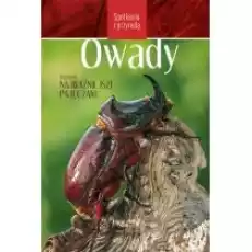 Spotkania z przyrodą Owady Książki Poradniki