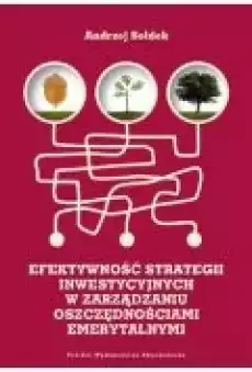 Efektywność strategii inwestycyjnych Książki Biznes i Ekonomia