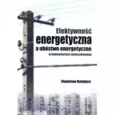 Efektywność energetyczna a ubóstwo energetyczne Książki Nauki ścisłe