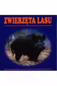 Zwierzęta lasu harmonijka Książki Dla dzieci