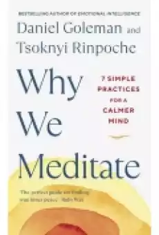 Why We Meditate Książki Literatura obca