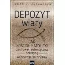 Depozyt wiary Książki Religia