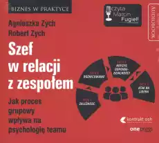 CD MP3 Szef relacji z zespołem Książki Audiobooki