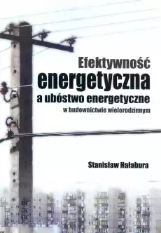 Efektywność energetyczna a ubóstwo energetyczne Książki Nauka