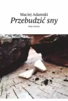 Przebudzić sny Książki Ebooki