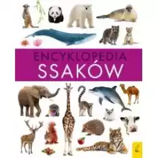 Encyklopedia ssaków Książki Dla dzieci