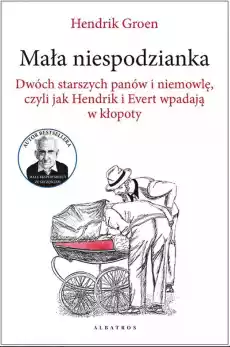 Mała niespodzianka Dwóch starszych panów i niemowlę czyli jak Hendrik i Evert wpadają w kłopoty Książki Powieści i opowiadania