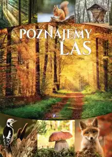 Poznajemy las Książki