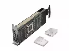 Lenovo Karta graficzna Nvidia RTX A2000 6GB miniDP with HP Bracket 4X61F99433 Komputery Podzespoły komputerowe Karty graficzne