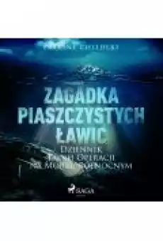 Zagadka piaszczystych ławic Dziennik tajnej operacji na Morzu Północnym Książki Ebooki