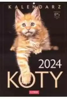 Kalendarz 2024 Koty Książki Kalendarze