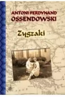 Zygzaki Książki Literatura piękna