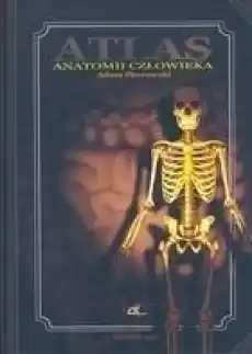 Atlas anatomii człowieka Książki Zdrowie medycyna