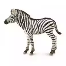 Zebra Foal Dla dziecka Zabawki Figurki i makiety