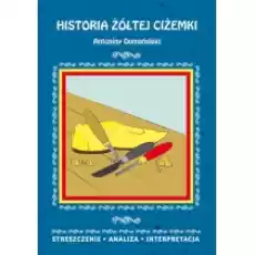 Historia żółtej ciżemki antoniny domańskiej streszczenie analiza interpretacja Książki Podręczniki i lektury