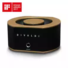 Divaldi AMP01 Gold Sprzęt RTV Audio Wzmacniacze audio