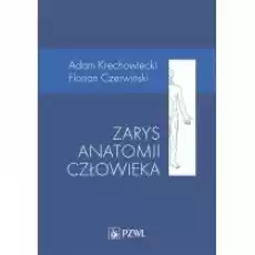 Zarys anatomii człowieka Książki Nauki ścisłe