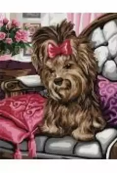 Malowanie po numerach Yorkshire terrier 40x50cm Gadżety