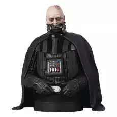 Popiersie Star Wars Return of the Jedi 16 Darth Vader Bez hełmu Dom i ogród Wyposażenie wnętrz Dekoracja Figurki dekoracyjne Figurki kolekcjonerskie