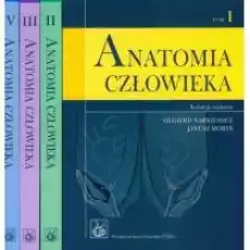 Anatomia człowieka Tom 14 Książki Nauki ścisłe