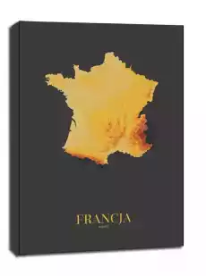 Francja mapa złota obraz na płótnie Wymiar do wyboru 20x30 cm Dom i ogród Wyposażenie wnętrz Dekoracja Obrazy i plakaty