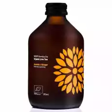 Kombucha Acerola Imbir BIO Organiczna Herbata Fermentowana i Żywa 330 ml Vigo Artykuły Spożywcze