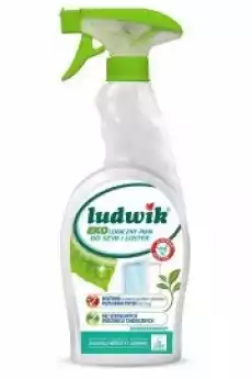 Płyn do mycia szyb i luster Ecolabel Zielona herbata i jaśmin Dom i ogród Sprzątanie domu Środki czystości