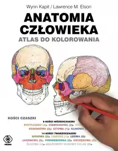 Anatomia człowieka Atlas do kolorowania Książki Zdrowie medycyna