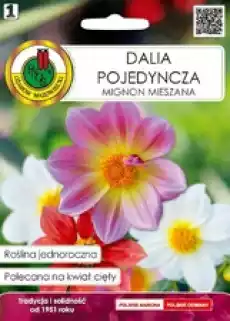 PNOS Dalia Pojedyncza Mignon Mieszanka 05g Dom i ogród Ogród Kwiaty i nasionacebulki